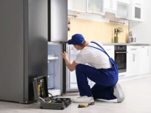 Sub-Zero Refrigerator Repair Los Angeles Experts | Sub Zero Appliance Repair
